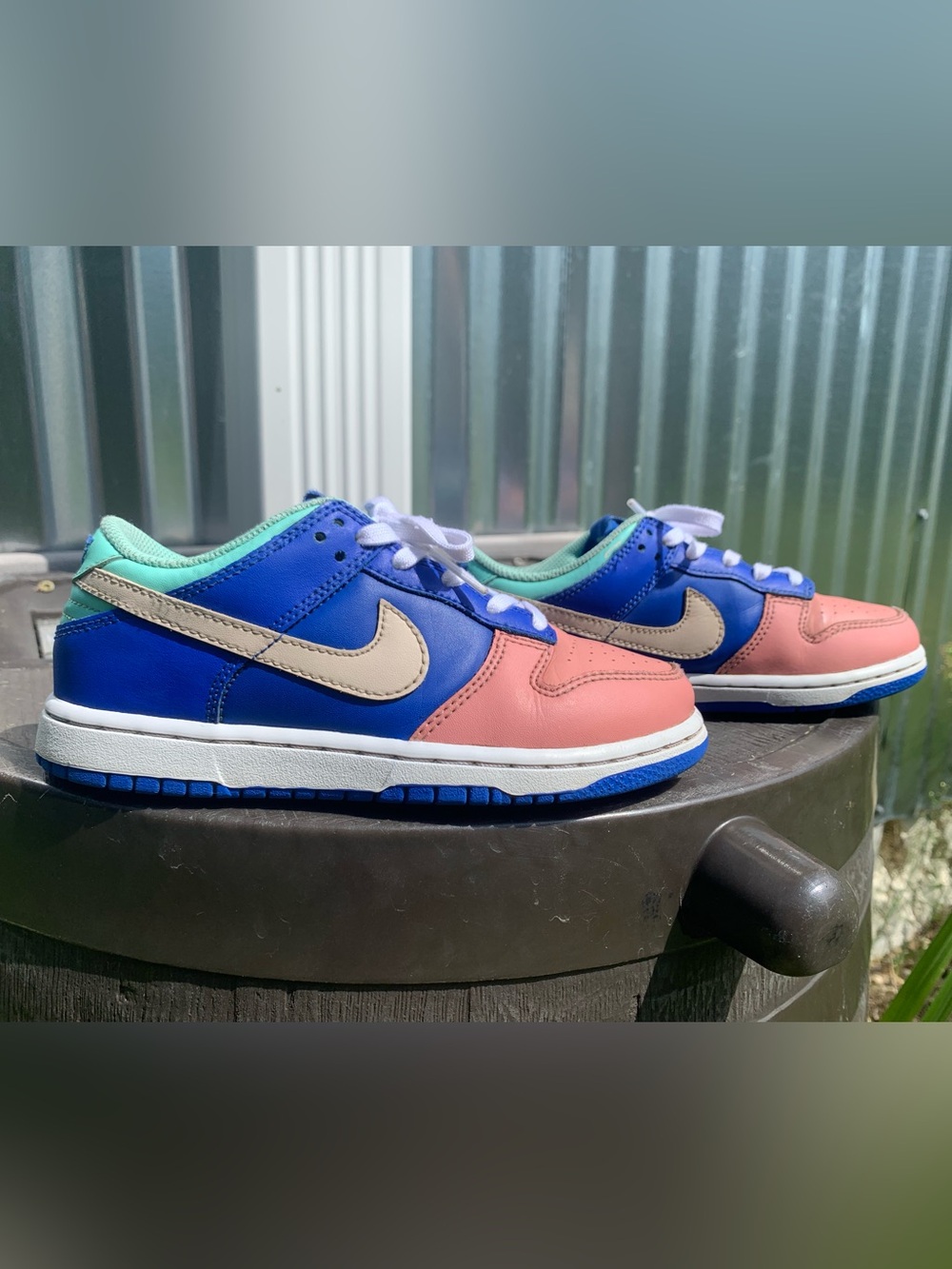 Kids Nike SB Dunk Low ‘Salmon Toe’
Nike DZ2874-400
Size 1Y